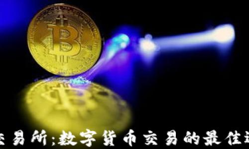 
TP交易所：数字货币交易的最佳选择