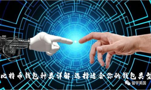 比特币钱包种类详解：选择适合你的钱包类型