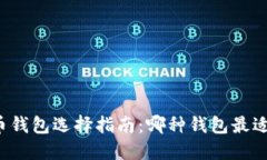 比特币钱包选择指南：哪种钱包最适合你？