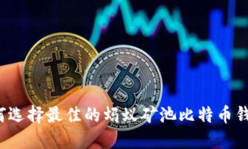如何选择最佳的蚂蚁矿池比特币钱包？
