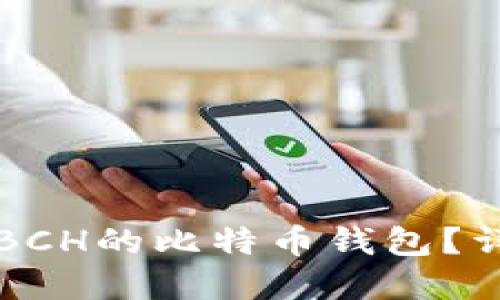 如何选择支持BCH的比特币钱包？详尽指南与推荐