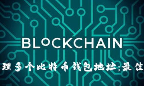 如何有效管理多个比特币钱包地址：最佳实践与技巧