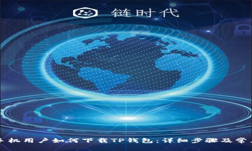苹果手机用户如何下载TP钱包：详细步骤及常见问题