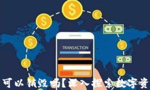 
区块链钱包可以销毁吗？深入探索数字资产的安全性
