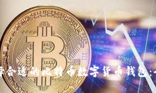 如何选择合适的比特币数字货币钱包：全面指南