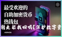 : TP钱包币被转走能找回吗