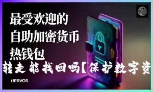 : TP钱包币被转走能找回吗？保护数字资产的安全指南