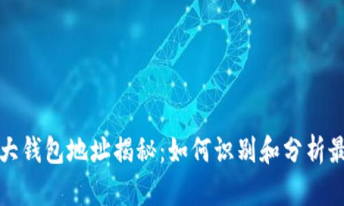 比特币最大钱包地址揭秘：如何识别和分析最富有钱包