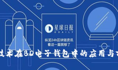 区块链技术在BD电子钱包中的应用与前景分析