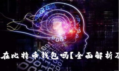 USDT能放在比特币钱包吗？全面解析及最佳实践