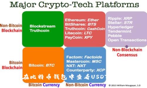 如何在比特币钱包中查看USDT：全面指南