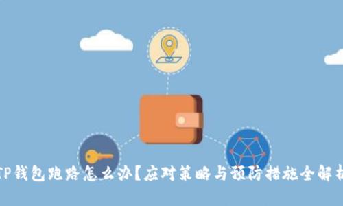 TP钱包跑路怎么办？应对策略与预防措施全解析