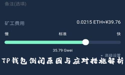 TP钱包倒闭原因与应对措施解析