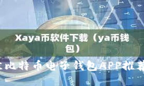 2023年最佳比特币电子钱包APP推荐及使用指南