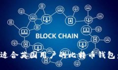 如何选择适合英国用户的