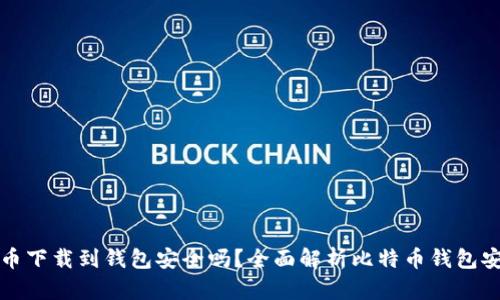 比特币下载到钱包安全吗？全面解析比特币钱包安全性