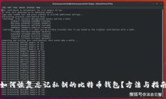 如何恢复忘记私钥的比特