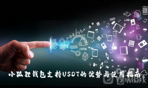 小狐狸钱包支持USDT的优势与使用指南