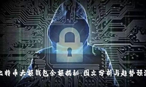 比特币大额钱包余额揭秘：图文分析与趋势预测