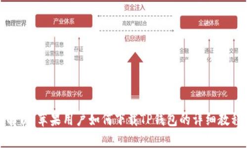 全面解析：苹果用户如何下载TP钱包的详细教程视频