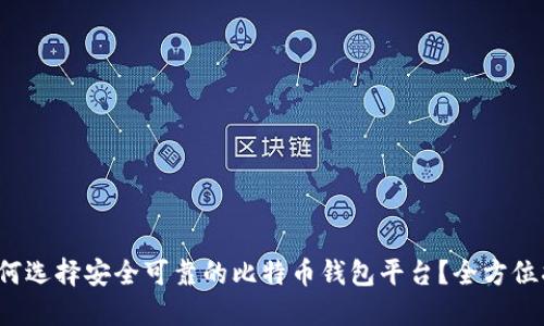  如何选择安全可靠的比特币钱包平台？全方位指南