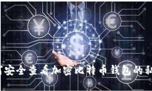 如何安全查看加密比特币钱包的私钥？