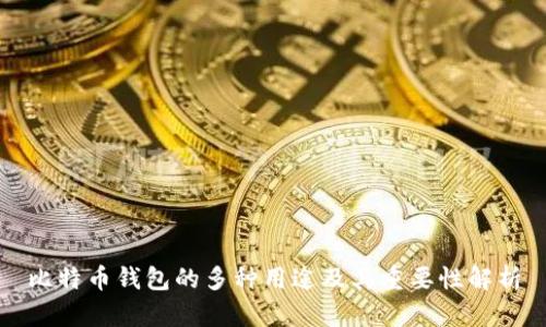 比特币钱包的多种用途及其重要性解析