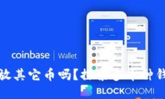 比特币钱包可以放其它币