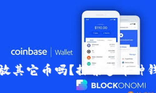 比特币钱包可以放其它币吗？探索多币种钱包的优势与风险