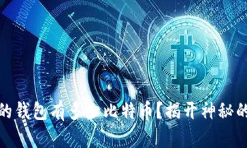: 中本聪的钱包有多少比特币？揭开神秘的数字背后