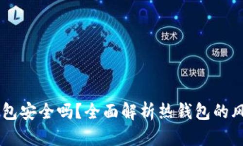 USDT放在热钱包安全吗？全面解析热钱包的风险与防护措施