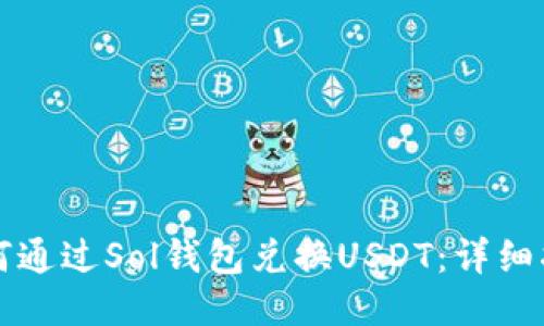 如何通过Sol钱包兑换USDT：详细指南