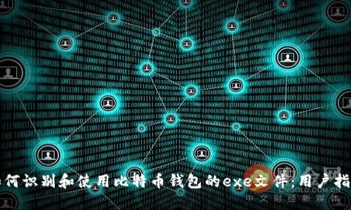 如何识别和使用比特币钱包的exe文件：用户指南