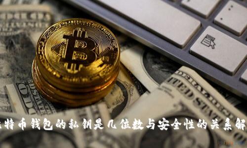 比特币钱包的私钥是几位数与安全性的关系解析