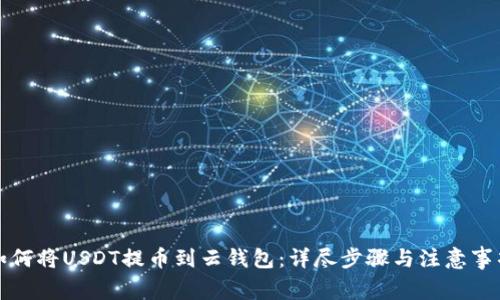 如何将USDT提币到云钱包：详尽步骤与注意事项