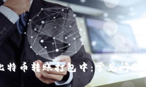 火币钱包比特币转账打包中：常见问题及解决方案