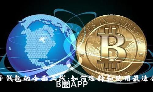 区块链电子钱包的全面上线：如何选择和使用最适合你的一款