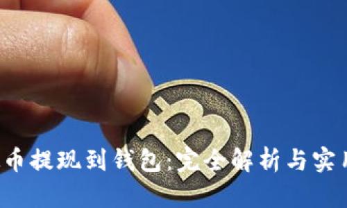  虚拟币提现到钱包：完全解析与实用指南