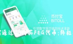 如何通过TP购买FEG代币：终