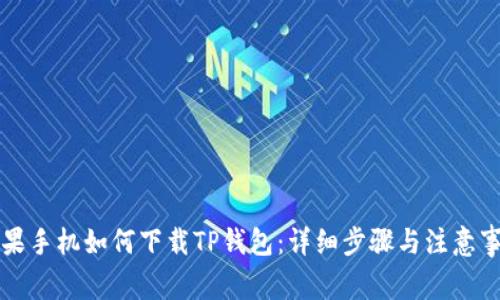 苹果手机如何下载TP钱包：详细步骤与注意事项