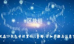 如何在TP钱包中设置Gas费用：详细步骤与注意事项