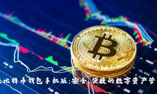 中文版比特币钱包手机版：安全、便捷的数字资产管理工具