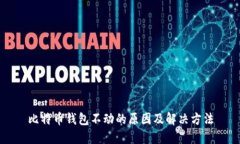 比特币钱包不动的原因及解决方法