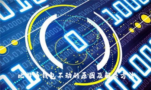 比特币钱包不动的原因及解决方法