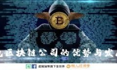 冷钱包区块链公司的优势与发展前景