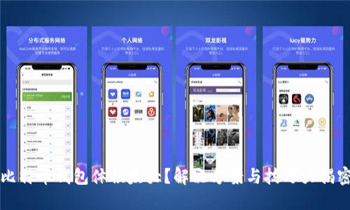 比特币钱包体积太大？解决方案与技巧大揭密