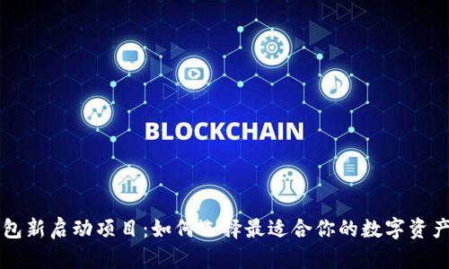 区块链钱包新启动项目：如何选择最适合你的数字资产管理工具