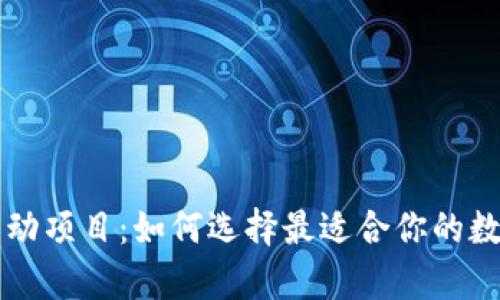 区块链钱包新启动项目：如何选择最适合你的数字资产管理工具