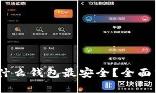 USDT币用什么钱包最安全？全面分析及推荐
