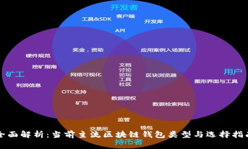 全面解析：当前主流区块链钱包类型与选择指南